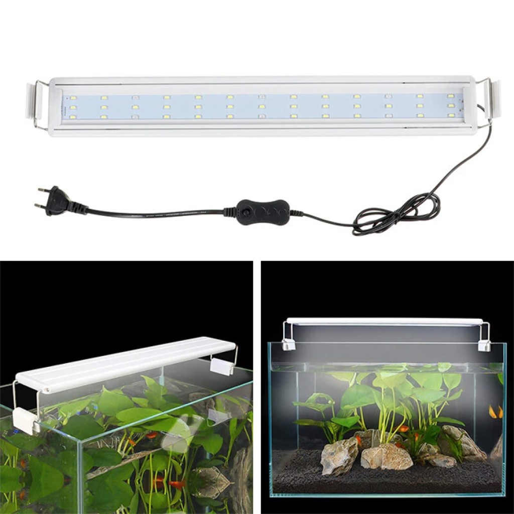 aquarium stents lamp.jpg